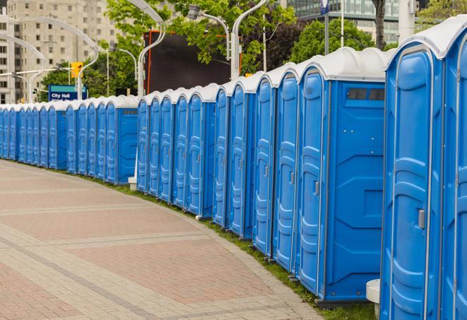 a row of portable restrooms at an outdoor special event, ready for use in Centreville